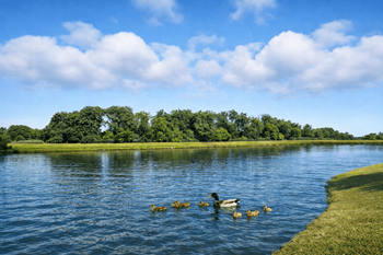 Angelo groves nature trails & water features